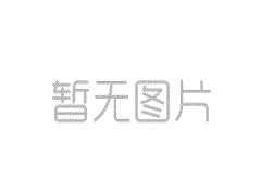  液体卷材（高弹橡胶防水涂料）